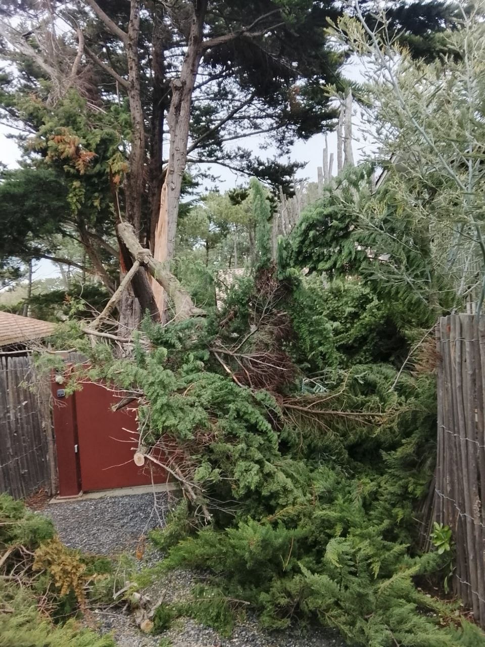 Urgence tempête